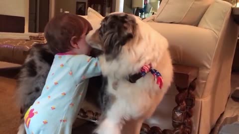 Cute Babies Playing With Dogs Compilation | Funny Baby And Pets