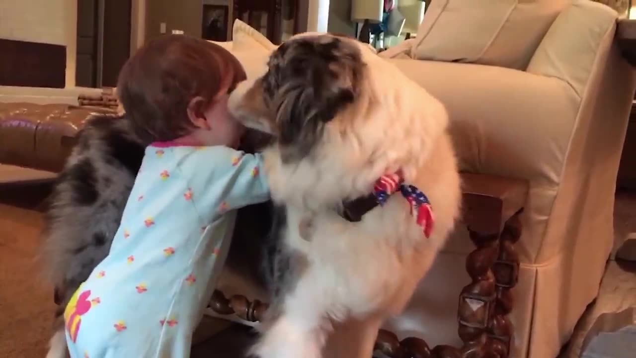 Cute Babies Playing With Dogs Compilation | Funny Baby And Pets