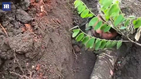 Ukrainian soldier miraculously survived being buried alive after Russian artillery shelling