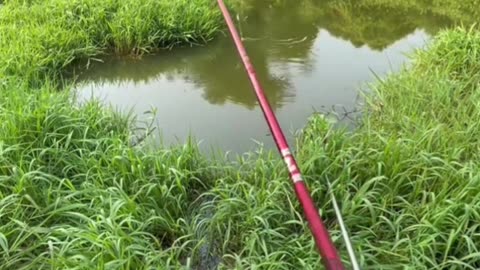 Go Fishing