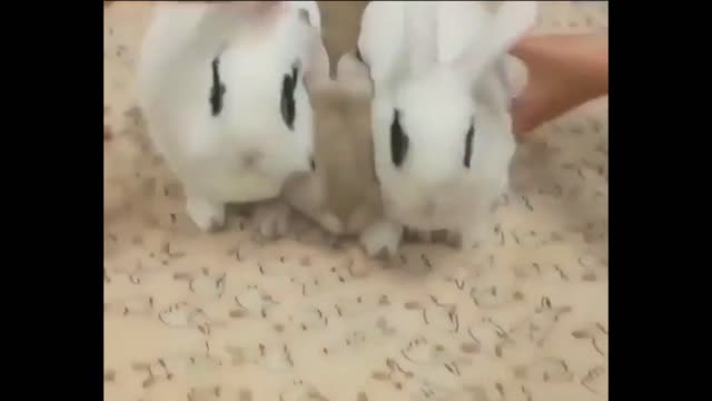 All for one and one for all united we stand