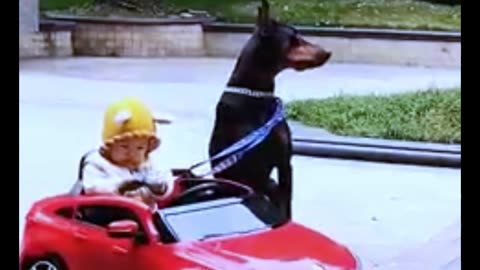 Baby and dog Video #Bangla cute baby and dog video #Bangla cute baby and dog video
