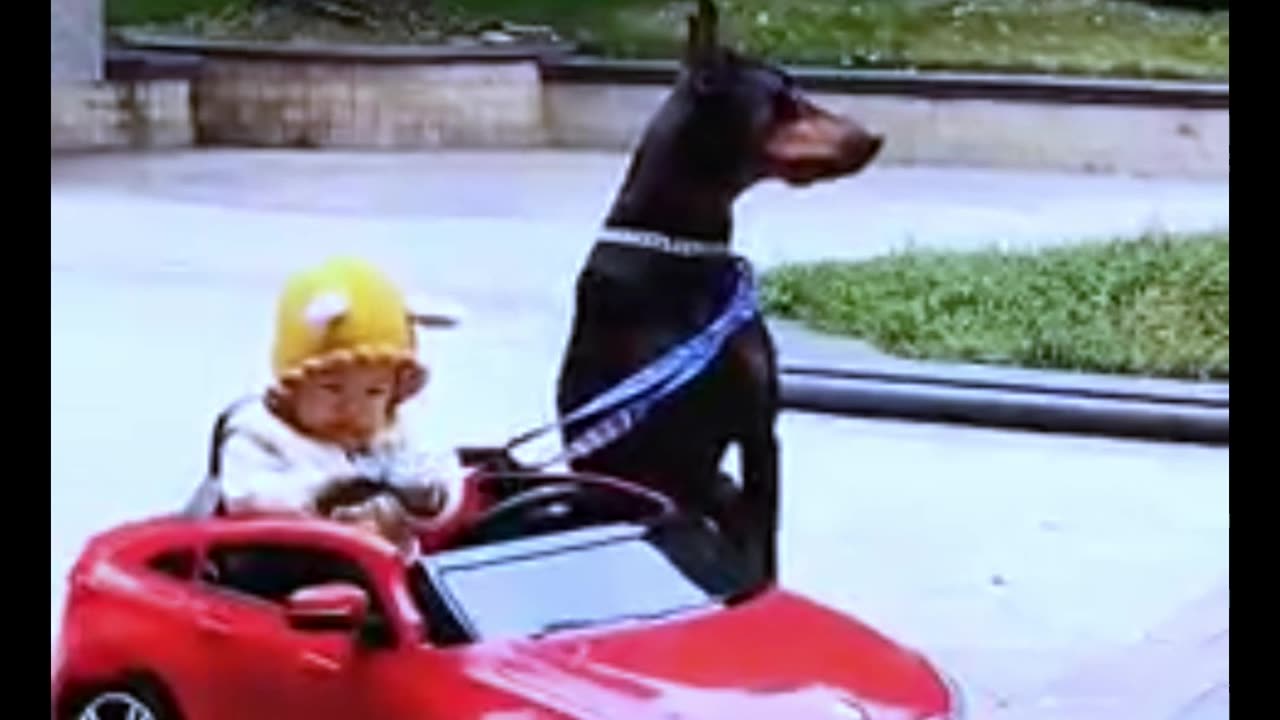 Baby and dog Video #Bangla cute baby and dog video #Bangla cute baby and dog video