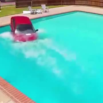 Funny Security Cams Swimming Car