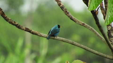 Lovely birds 🐦