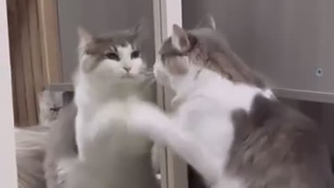 "Do not copy me😐!!"