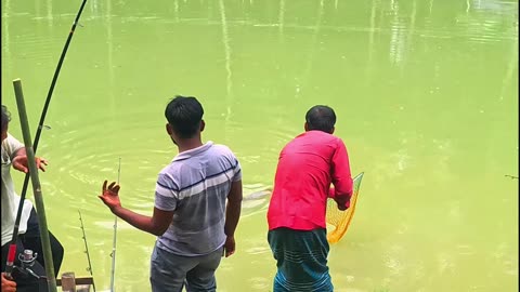 fish hunting, fishing videos, #fishing, #rohu fishing