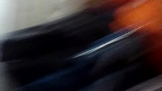 Dos gatos negros en tierno abrazo