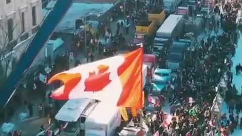 Freedom Convoy Official Trailer