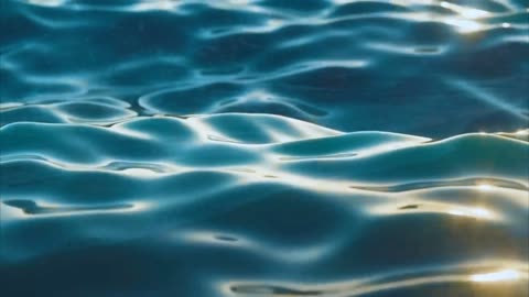 The Water Song - Mana O Te Wai