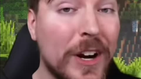 Mr beast on Minecraft