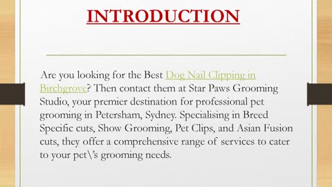 Best Dog Nail Clipping in Birchgrove