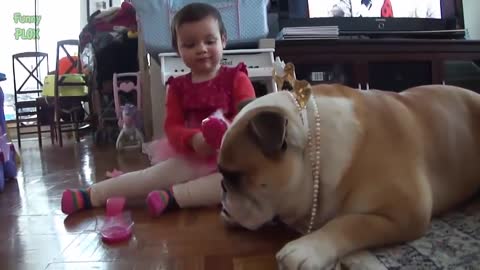 Funny Bulldog and Baby Videos Compilation