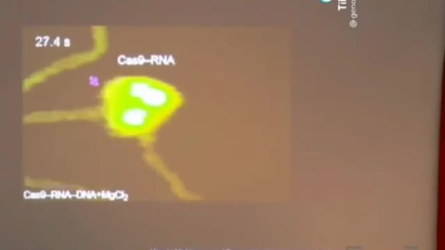 影片展示疫苗如何剪切DNA