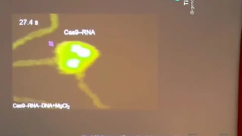 影片展示疫苗如何剪切DNA