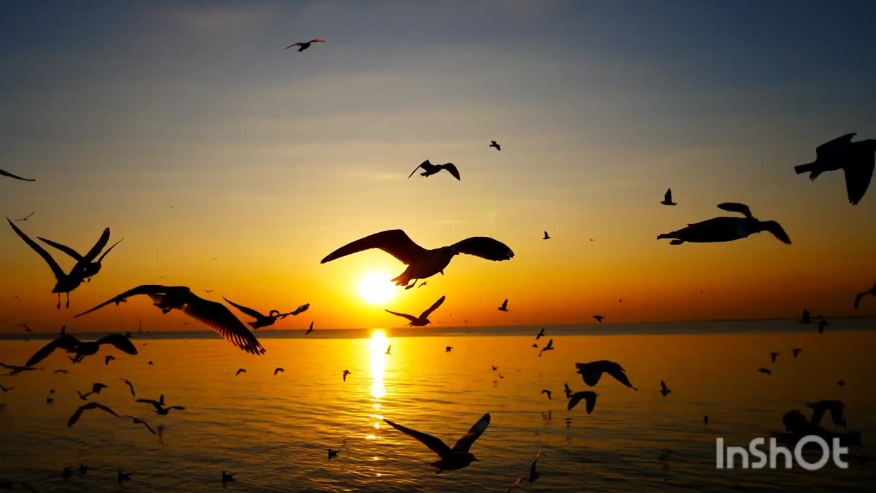 Mindblowing sun setting seen on the beach🌄🌄