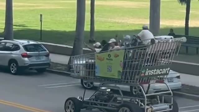 Large shopping cart