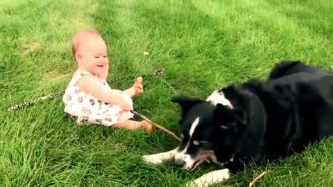 Cute baby and funny dog