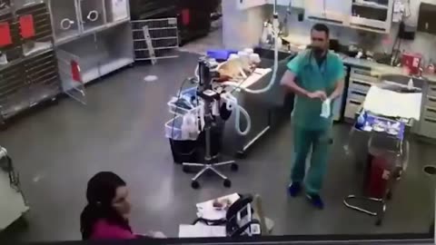 35 MOMENTS OF PERFECT TIMING!