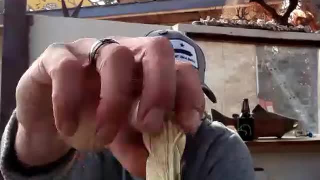 SPIRIT HUT PRE FUNK BEFORE SARS MEATS PROCESSING AND OTHER SERIOUS 💩😁