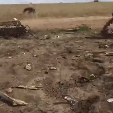 Broken Ukrainian Armed Forces equipment near the village of Rabotino