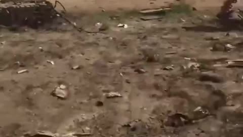 Broken Ukrainian Armed Forces equipment near the village of Rabotino