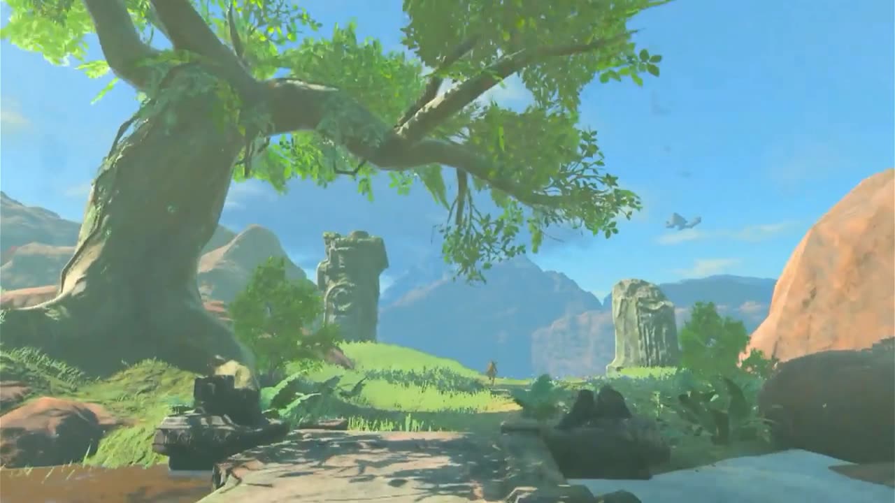 Waiting for Zelda Tears of The Kingdom