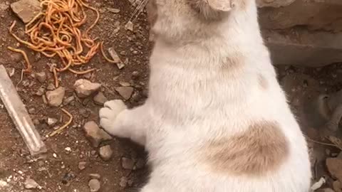 This Is My Spaghetti, No Touching!