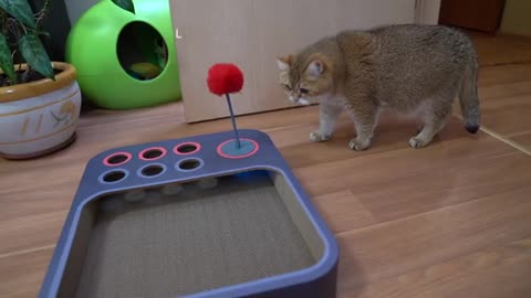 Cheerble Board Game