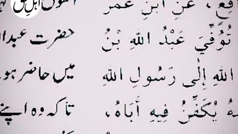 Sunni Olama about Hazrat Abdul Qadir Jilaani..and Engineer Mohammad Ali mirza