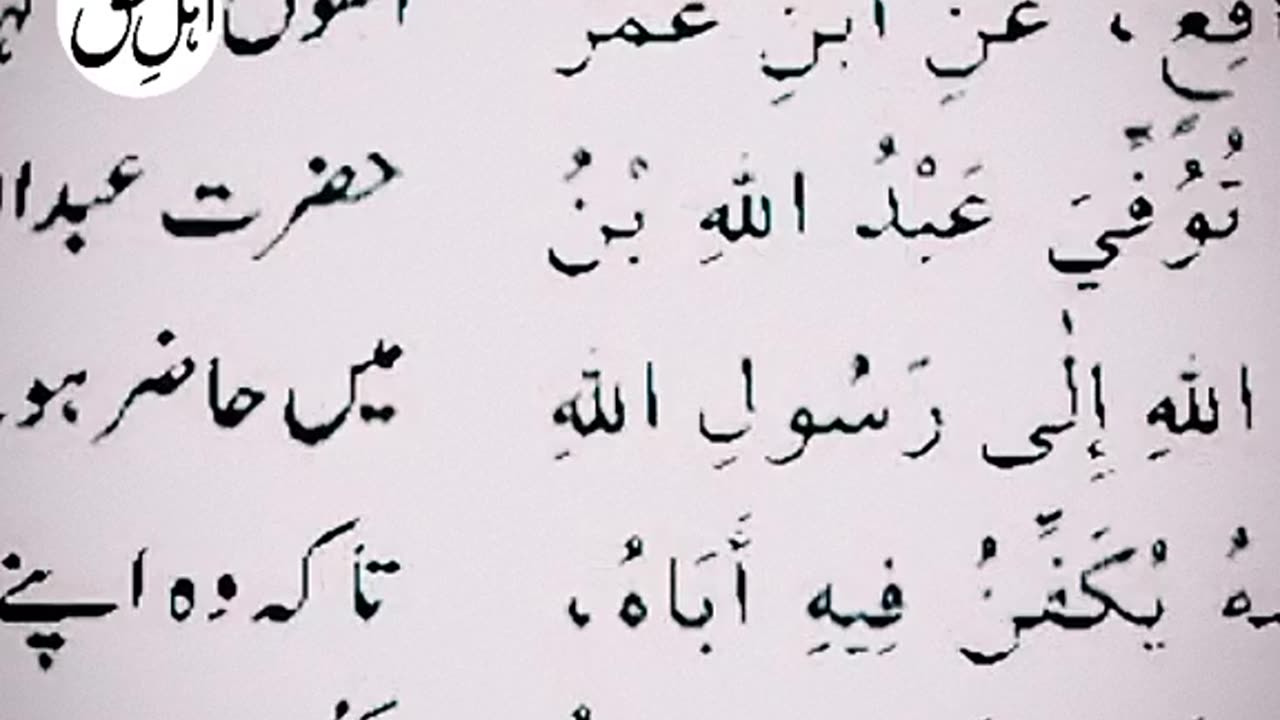 Sunni Olama about Hazrat Abdul Qadir Jilaani..and Engineer Mohammad Ali mirza