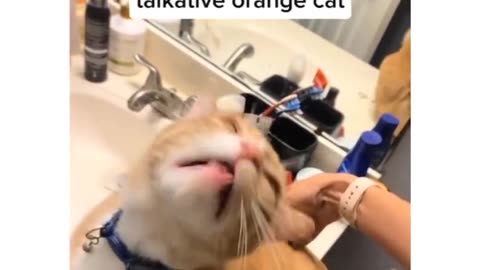 oyen