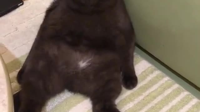 Well fed and satisfied