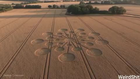 CROP CIRCLE | HATHERDEN LANE CHARLTON HAMPSHIRE