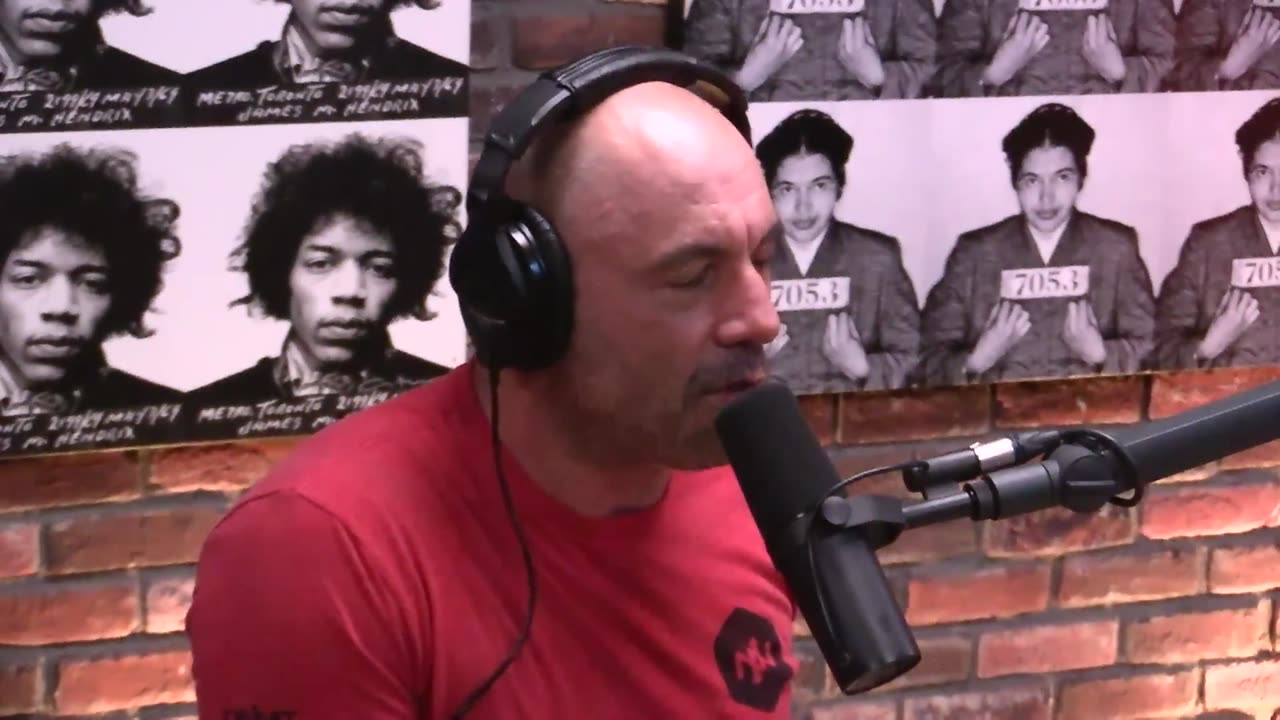 Joe Rogan Experience #1006 - Jordan Peterson & Bret Weinstein
