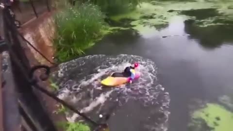 Rower Faceplants In River When He Gets Pushed Off A Bridge