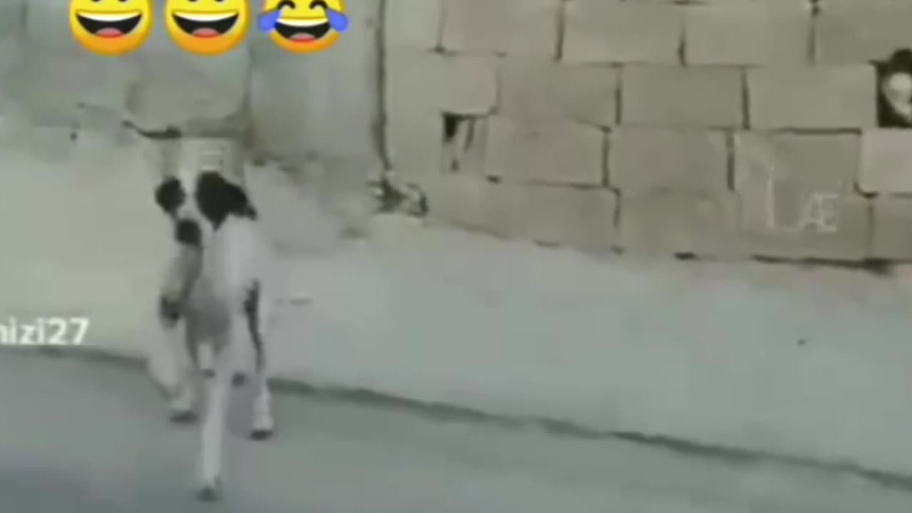 Funny video