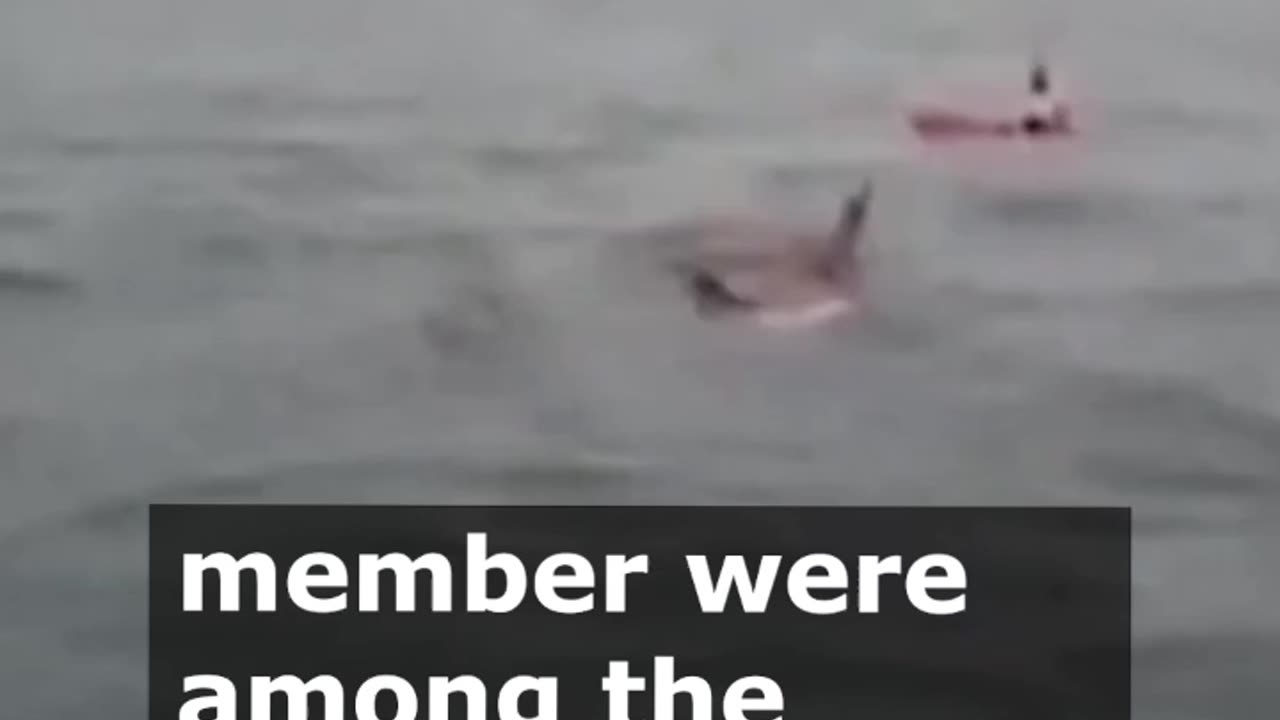 Tragedy Strikes on Lake Maggiore: Victims Identified in Boating Accident