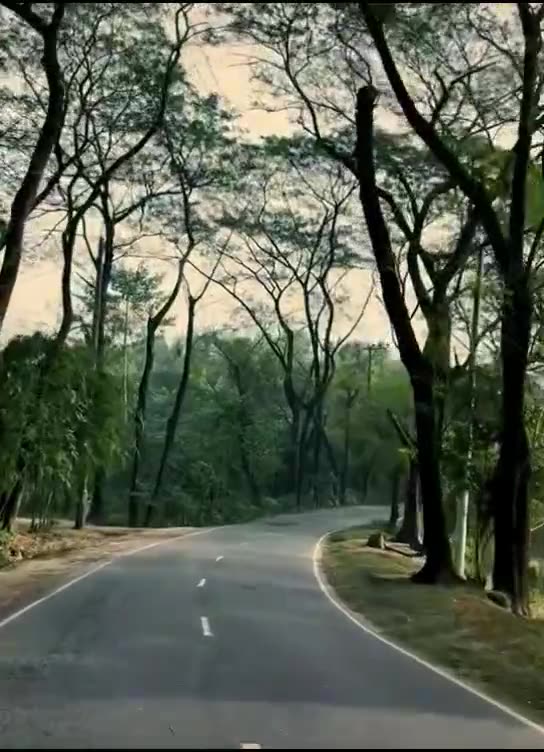 One of the most beautiful roads Ihave been to #fyp #travel #foryou