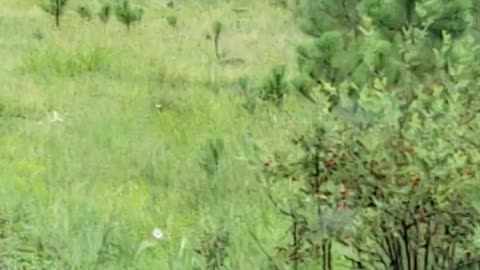 A Rainy Day In The Mountains