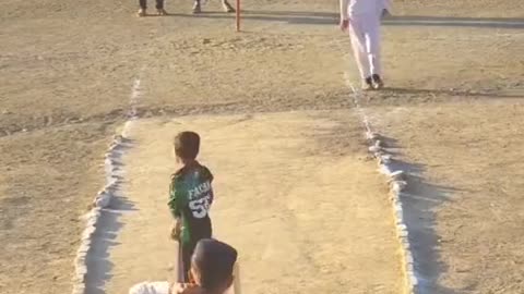 Cricket