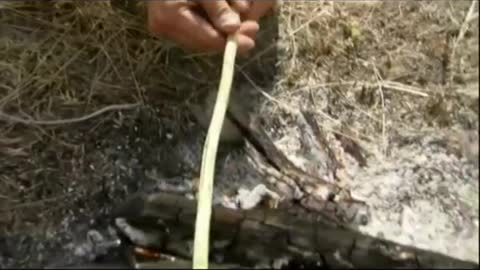 Confectionner un arc ! #manvswild #survivaltips