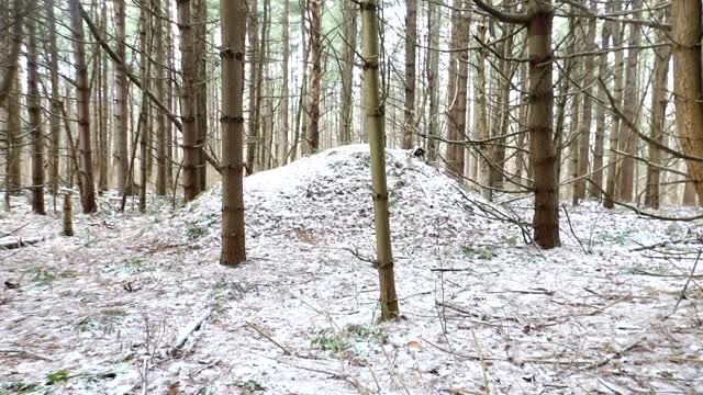 Look what I came across