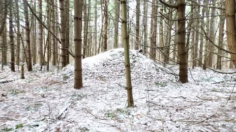 Look what I came across