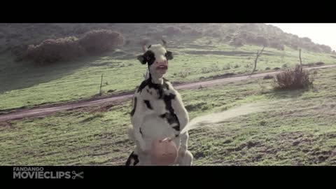 Fighting with cow and man# fighting