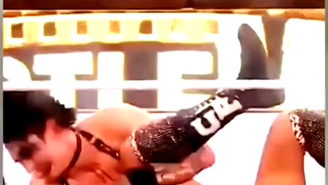 WWE Womens Fight