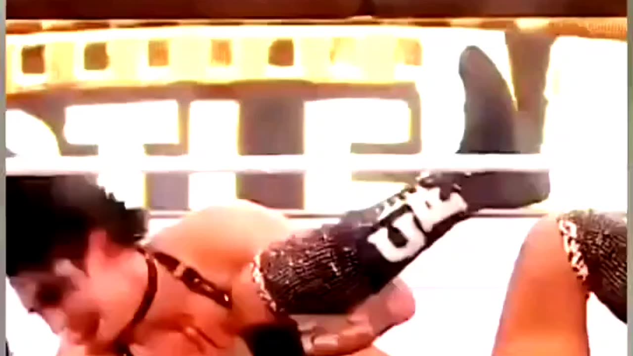 WWE Womens Fight