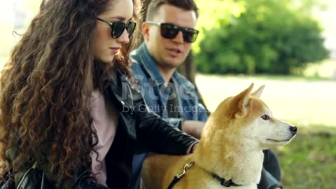 dog lover