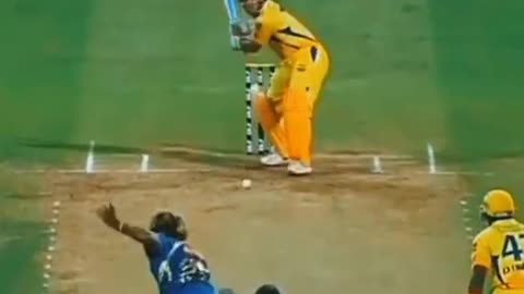 fans-video cricket lovers-video #cricket #cricketlover