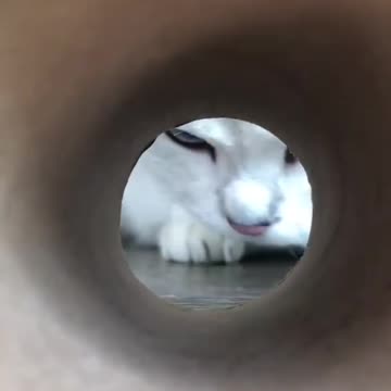 I adhere to a strict no treat left behind policy☺☺☺ Funny trick or treat ☺☺☺☺